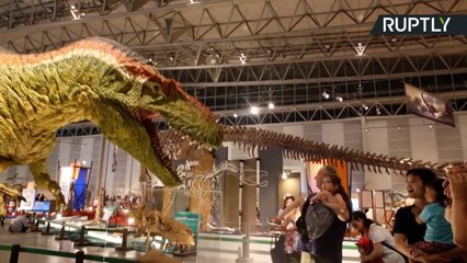 Japoneses criam dinossauros robôs
