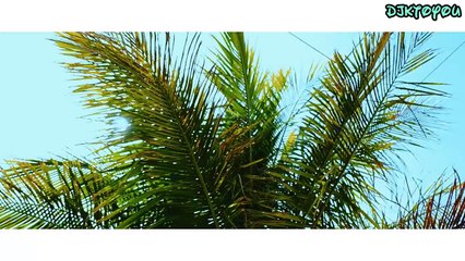 KARD - Hola Hola Legendado PT