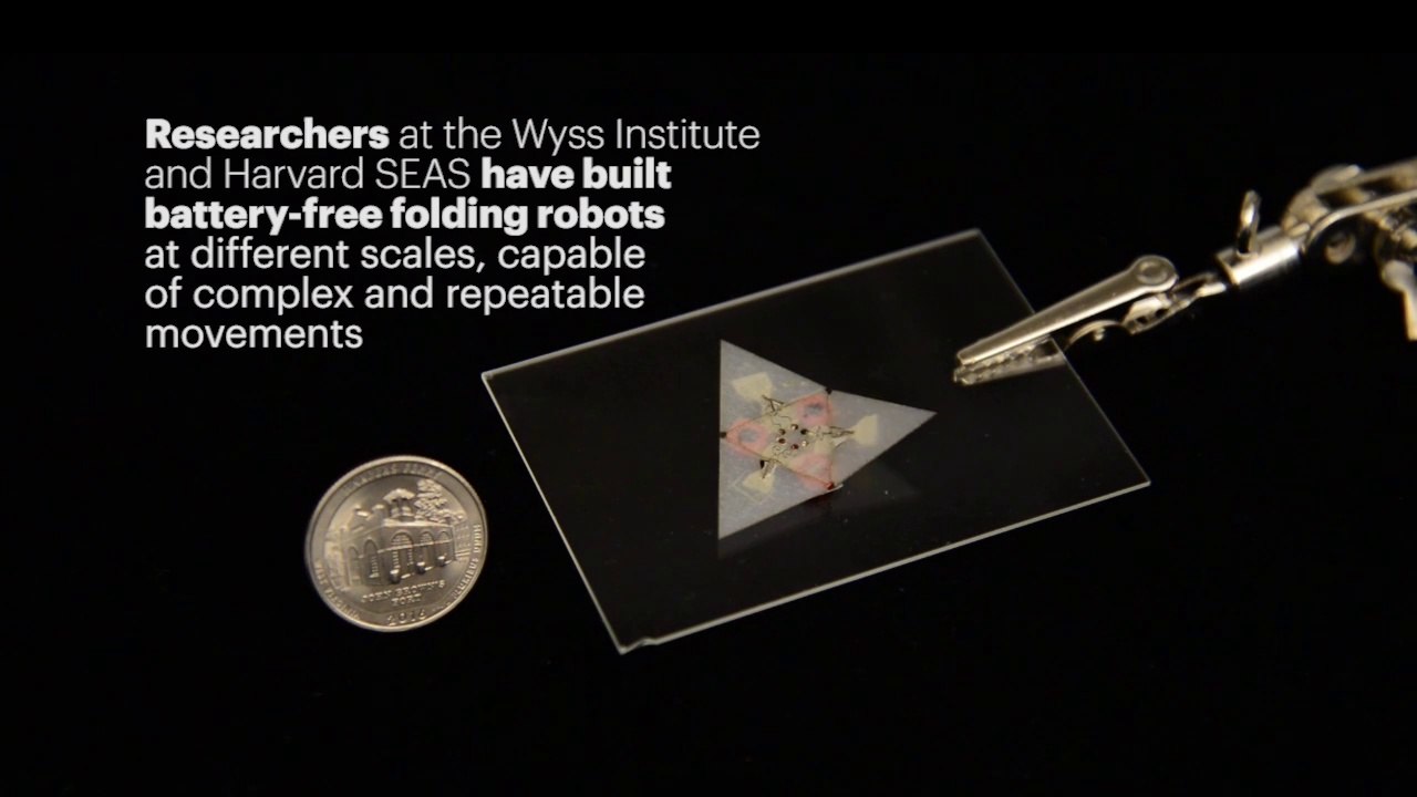 Robots plegables inspirados en el origami se mueven sin batería