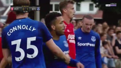 Aaron Lennon Goal vs Twente (0-2)