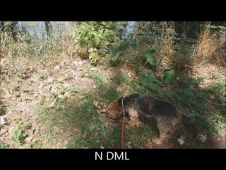 MAISON DU CANAL HELLA 19-7-2017