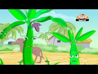 Learn About Plants - Seed Dispersal