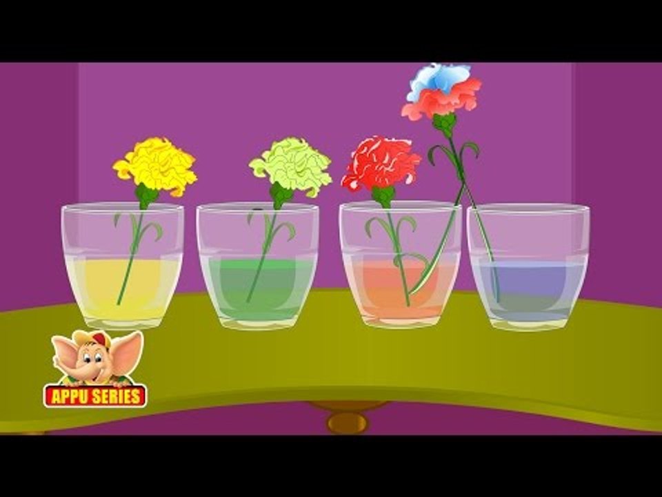 Learn Science through Home Experiments - Drinking Plants