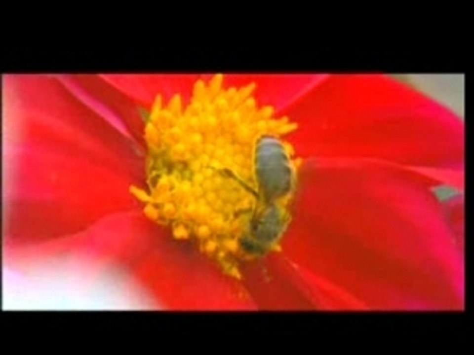 Ya allah klipmekani.com