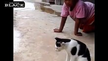 عجيب ضفدع يأكل تعبان..A strange frog eating a snake