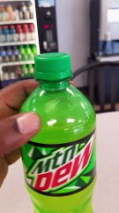 Spider Floats in Mountain Dew