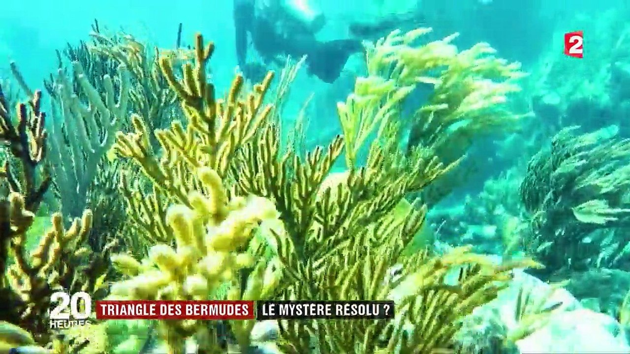 A la découverte du mystère du Triangle des Bermudes