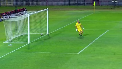 Anthony Nwakaeme  Goal HD - Honved (Hun)	0-2	H. Beer Sheva (Isr) 19.07.2017