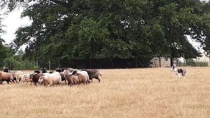 1ère fois sur plus gros lot  (2)