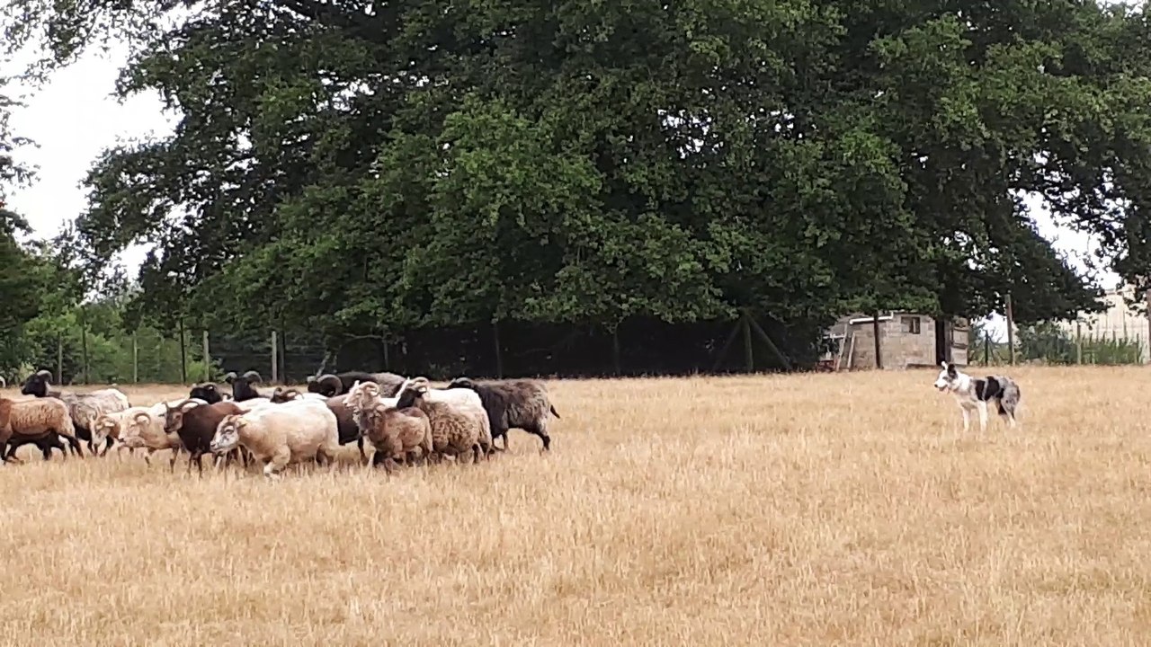 1ère fois sur plus gros lot  (2)