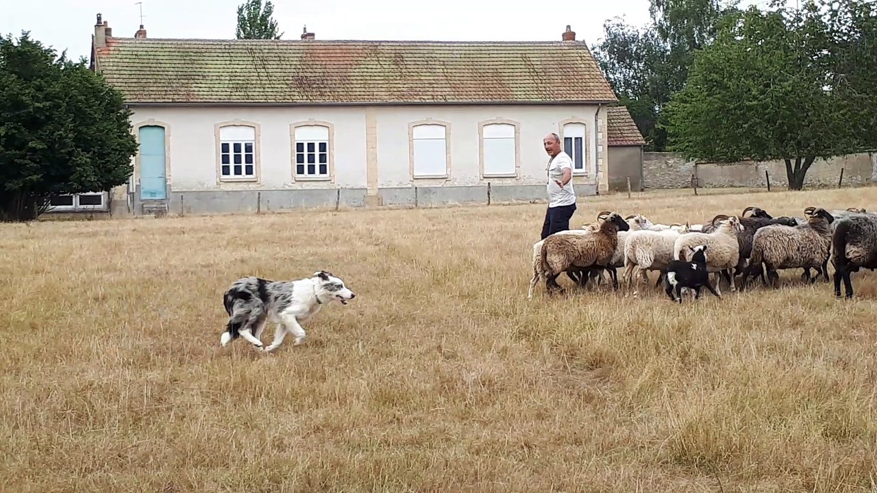 Petite recherche (3)