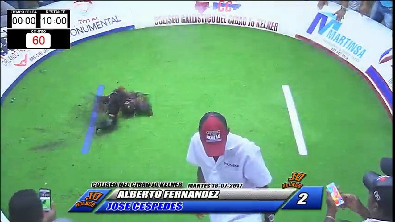 Cespedes vs Alberto #2