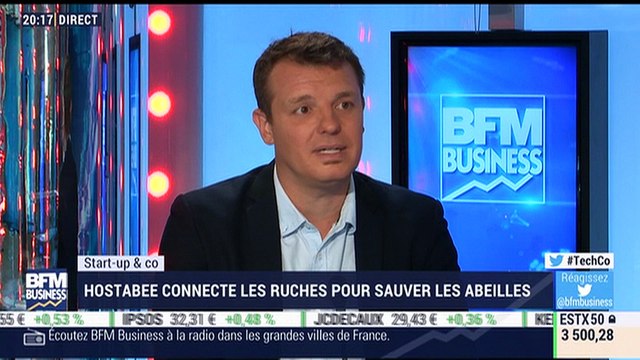 Start-up & Co: Hostabee, la société qui connecte les ruches pour sauver les abeilles - 19/07