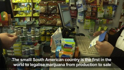 Uruguay pharmacies start selling pot