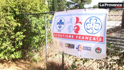 Des Scouts pour protéger nos forêts