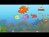 Classic Rhymes from Appu Series - Nursery Rhyme - Three Little Fishies