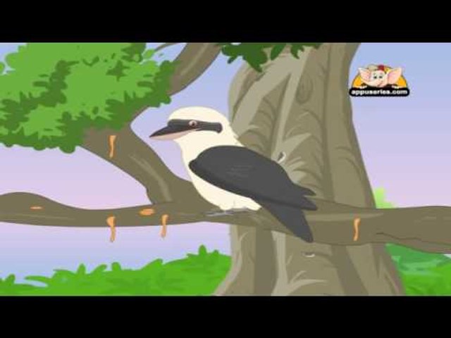 Classic Rhymes from Appu Series - Nursery Rhyme - Kookaburra