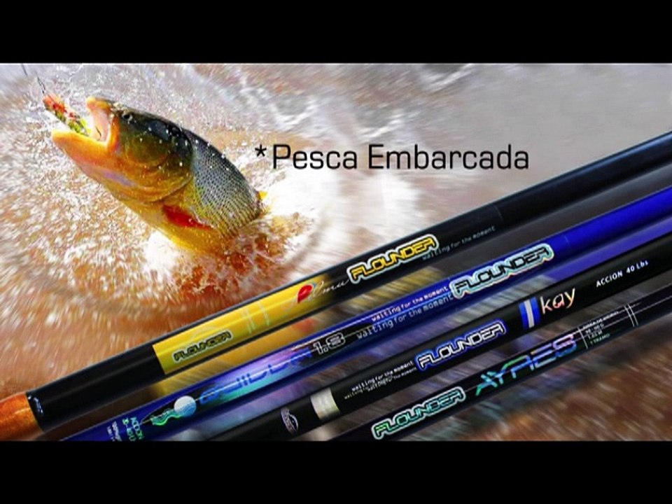 Panorama TV 341