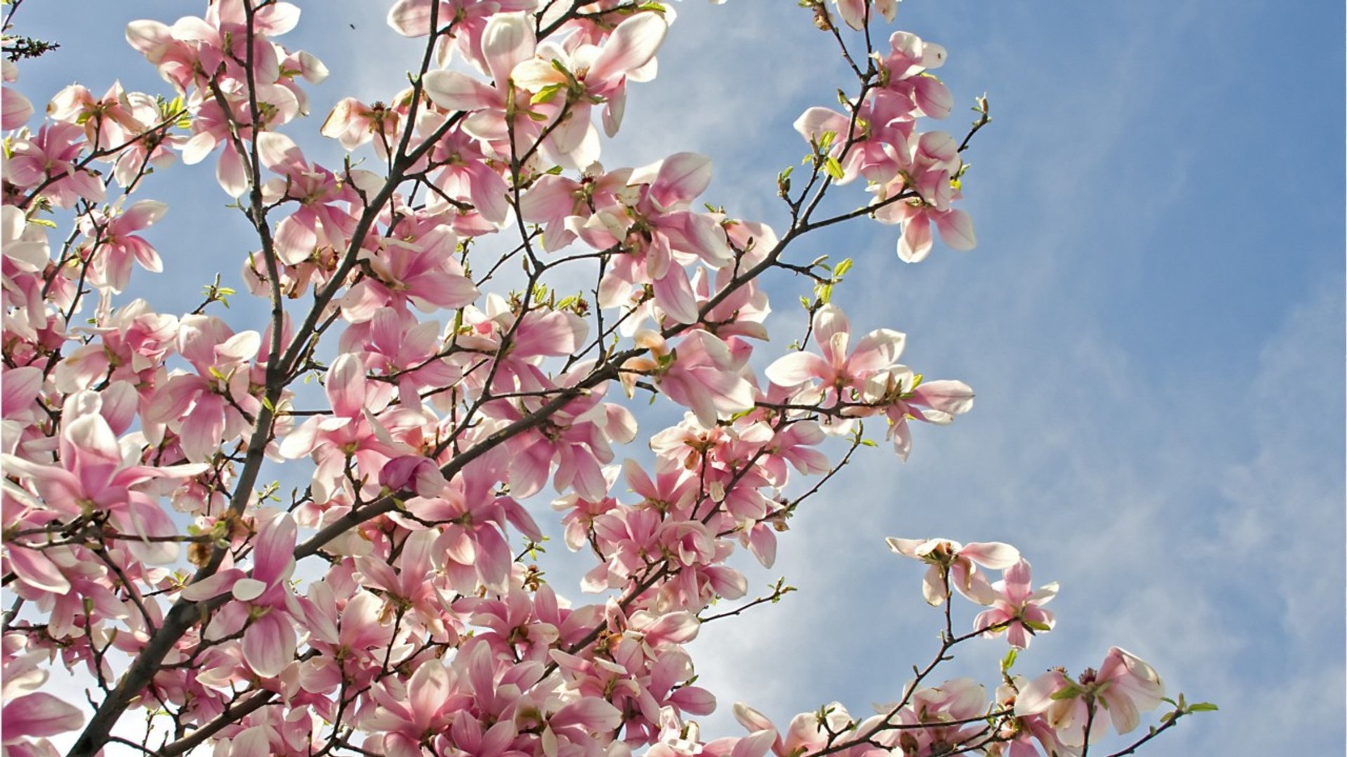 The Dearly Departed Can Remind You To Water Your Plants For Eternity