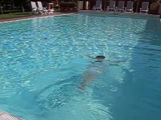 brasse dans une piscine