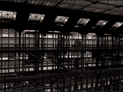 Le muséum d'histoire naturelle (par Bruno THIEVET)