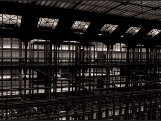 Le muséum d'histoire naturelle  (par Bruno THIEVET)