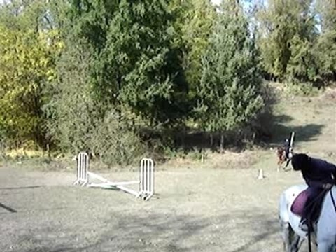 mwa et mon loulou a l'obstacle