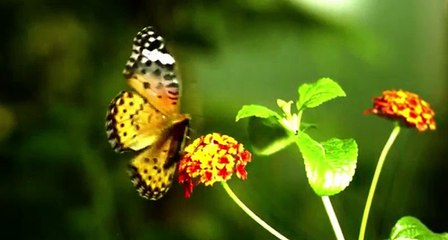 강남호빠 ○1○╋5710╋3141 ♤좋아요~꾹┏남연실장┓