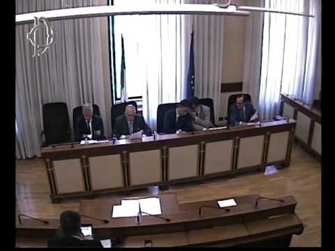 Roma - Audizione Croce e Lazzaro, Ente nazionale previdenza (19.07.17)