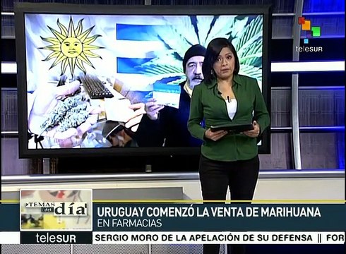 Comienza en Uruguay la venta legal de marihuana en farmacias