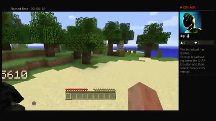 Live minecraft-Having fun (5)