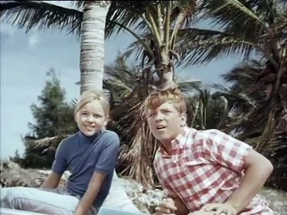 Flipper - Staffel 3, Folge 26 - Der Papagei
