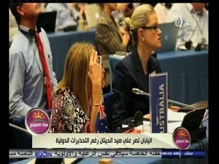 #هذا_الصباح | اليابان تصر على صيد الحيتان رغم التحذيرات الدولية