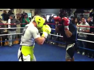 Canelo a beast in sparring