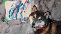 Cães fazendo arte, literalmente!