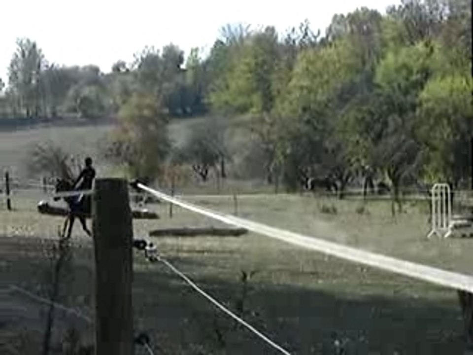 mon loulou et mwa a l'obstacle