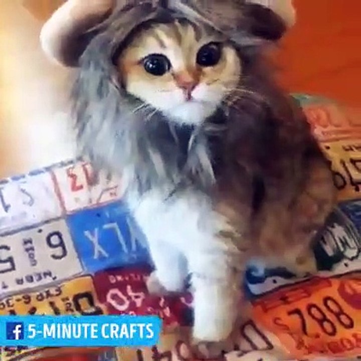 Five Minutes Crafts#SHARE - Five minutes Crafts