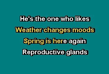 Nirvana - In bloom (Karaoke with lead vocal)