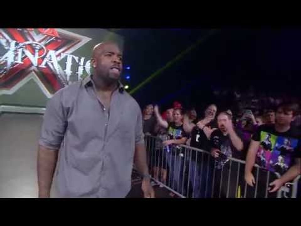 Moose In The Impact Zone!