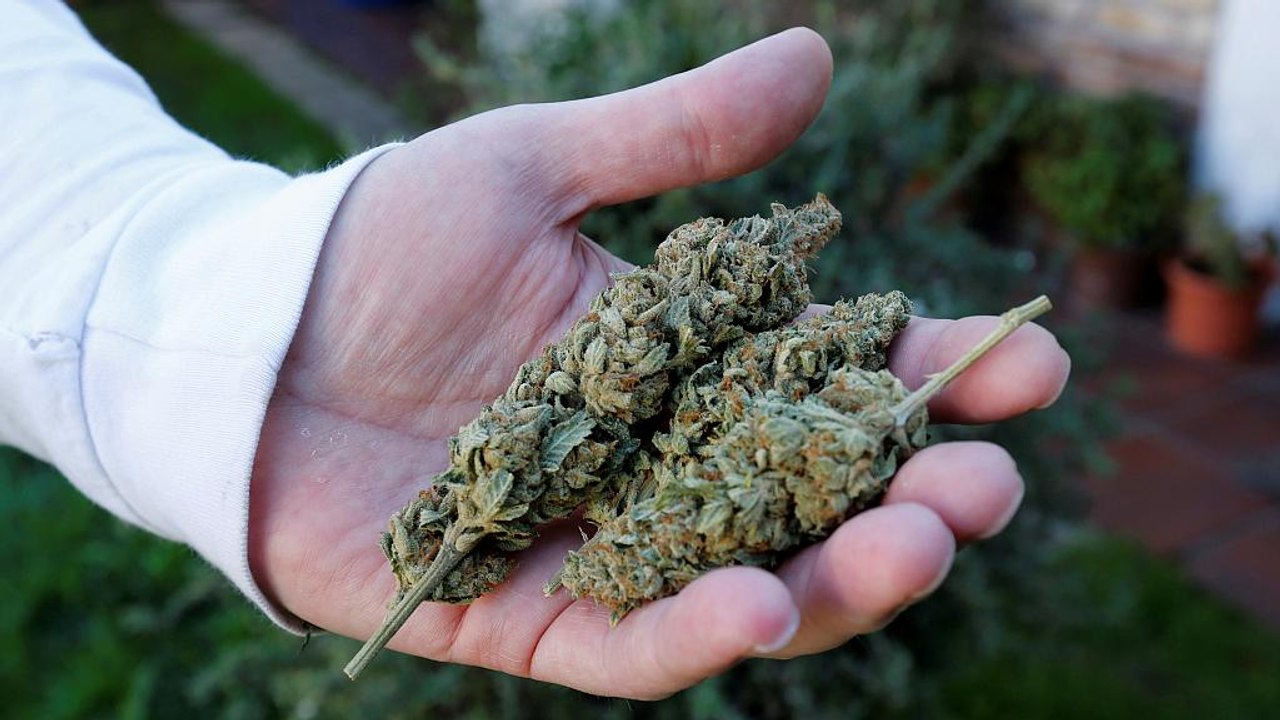 High in Uruguay