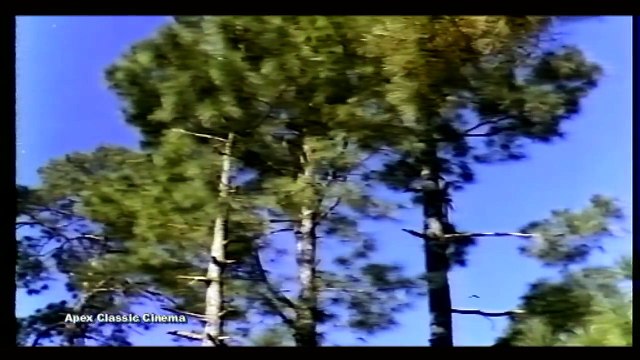 Salam-e-Mohabbat bada khoobsurat - Zeba Mohammad Ali - Noor Jahan