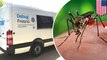 Memerangi virus Zika; jutaan nyamuk yang terinfeksi Wolbachia dilepaskan - Tomonews