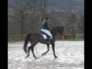 Notre petite vie....