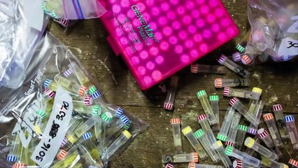 Man is stupid part 2