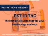 Best Pet Tags for Your Dogs and Cats - Pet Driver's License