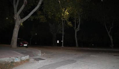Şehir magandası gece vakti korku saçtı