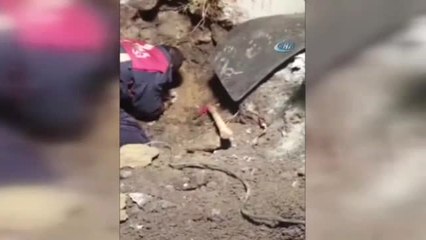 Cihangir'de 5 Saat Süren Köpek Kurtarma Operasyonu