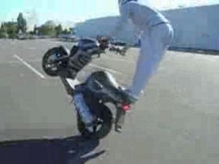 Sns costa judo