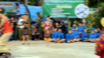 ฮีตฮอยอีสานงานของดีหนองเรือ ปี ๒๕๖๐