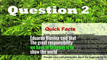 Uruguay’s Marijuana Law Turns Pharmacists Into Dealers